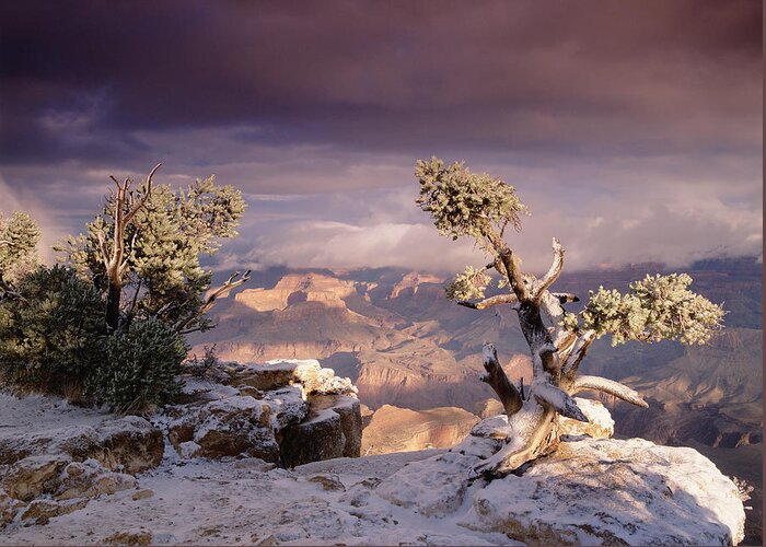 00173197 Greeting Card featuring the photograph South Rim Of Grand Canyon #2 by Tim Fitzharris