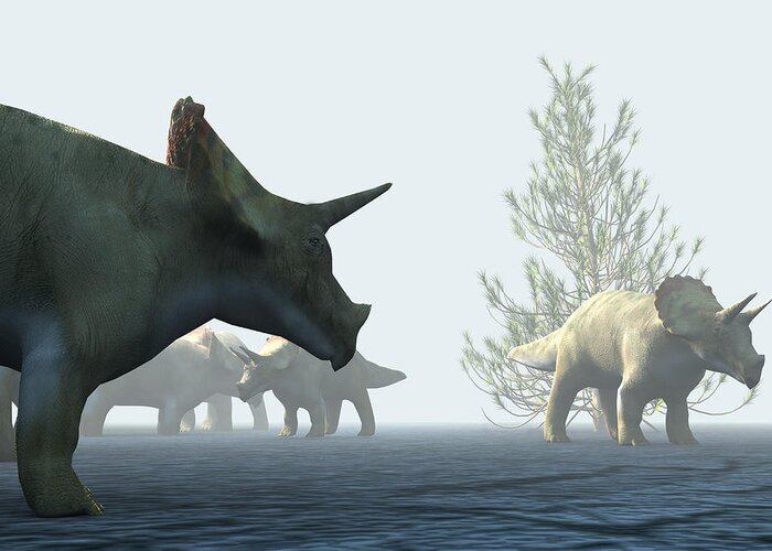 Triceratops Greeting Card featuring the photograph Triceratops Dinosaurs #2 by Christian Darkin