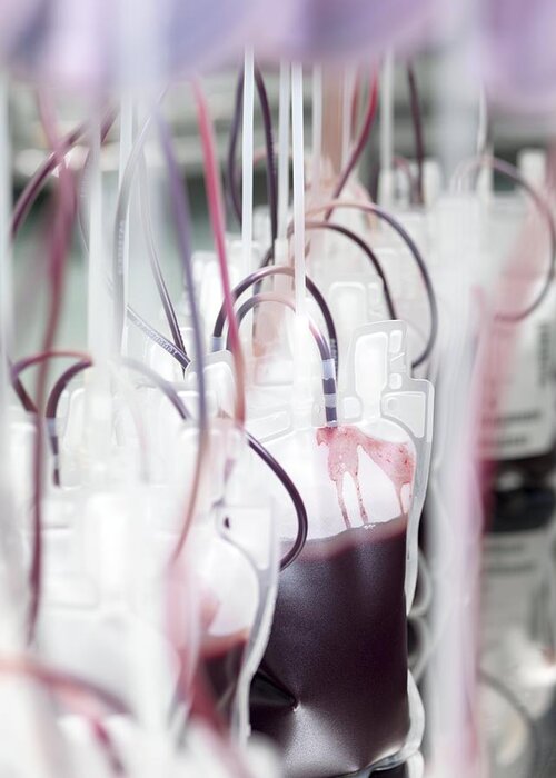 Equipment Greeting Card featuring the photograph Donor Blood Processing #20 by Tek Image