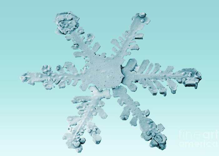 Snow Crystal Greeting Card featuring the photograph Snow Crystal #21 by National Snow and Ice Data Center
