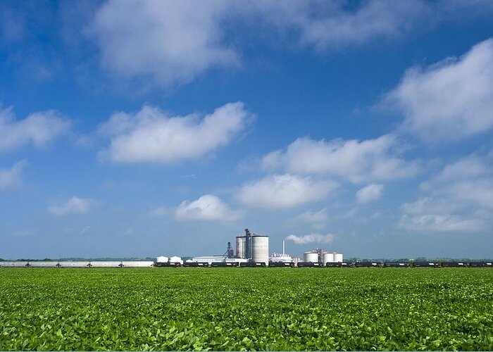 Building Greeting Card featuring the photograph Corn Ethanol Processing Plant #28 by David Nunuk