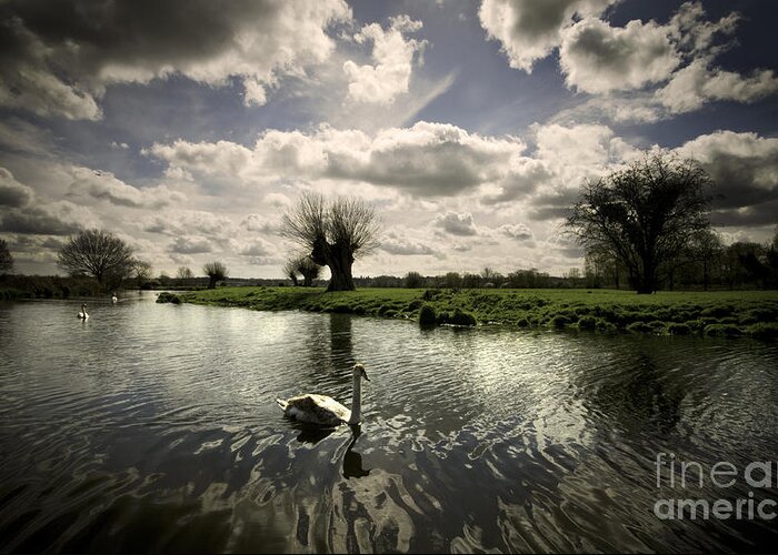 Flatford Mill Greeting Card featuring the photograph Swans On The Stour #3 by Darren Burroughs