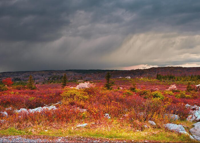 Stormy Weather Greeting Card featuring the photograph Dolly Sods Wilderness #5 by Mary Almond
