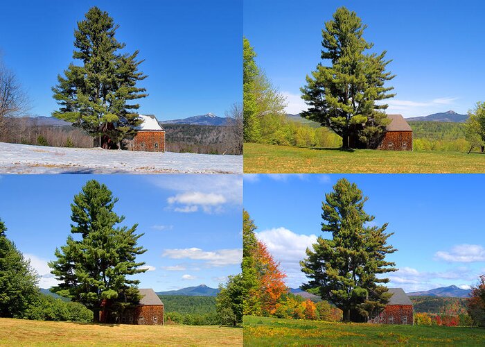 4 Seasons Greeting Card featuring the photograph 4 Season Tree and Barn by Larry Landolfi