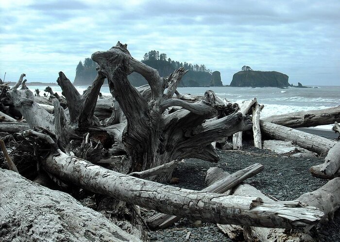 Twilight Greeting Card featuring the photograph Rialto Beach La Push #5 by Kelly Manning