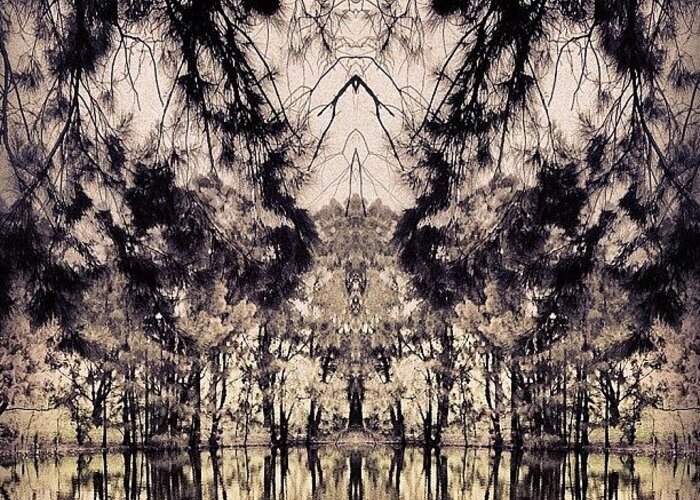 Beautiful Greeting Card featuring the photograph #tagstagram .com #abstract #symmetry #5 by Dan Coyne