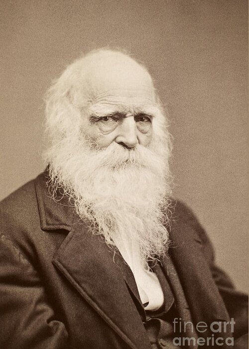 19th Century Greeting Card featuring the photograph William Cullen Bryant #7 by Granger