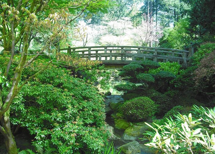 Japanese Garden Greeting Card featuring the photograph Portland Japanese Garden #8 by Kelly Manning