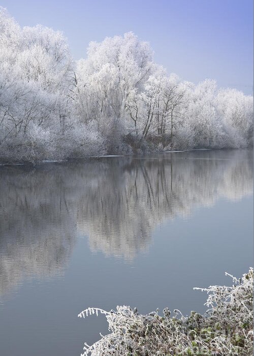 Christmas Greeting Card featuring the photograph A frosty river Severn by Andrew Michael