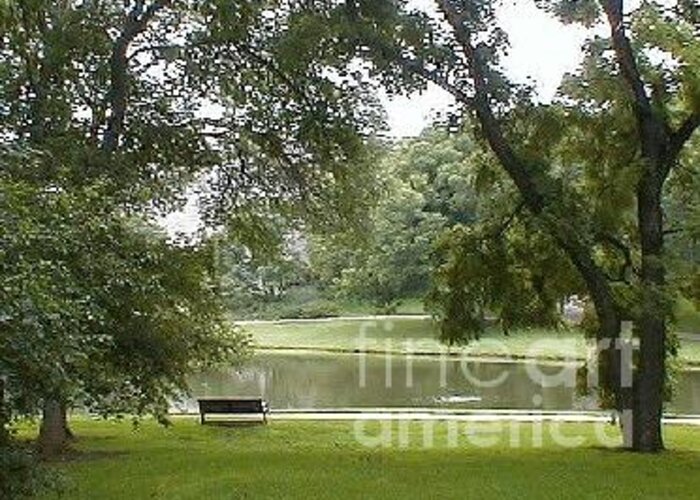 Bench Greeting Card featuring the photograph A Quiet Place by Vonda Lawson-Rosa