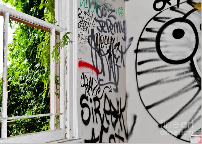 Graffiti Greeting Card featuring the photograph Abandoned city house by Yurix Sardinelly