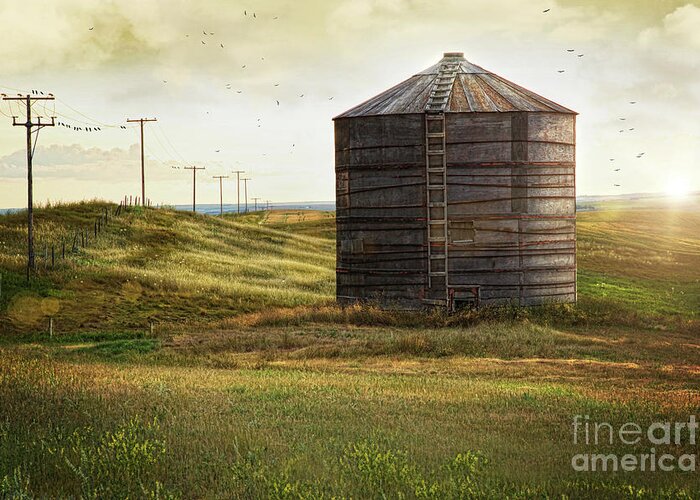 Abandoned Greeting Card featuring the photograph Abandoned wood grain storage bin in Saskatchewan by Sandra Cunningham