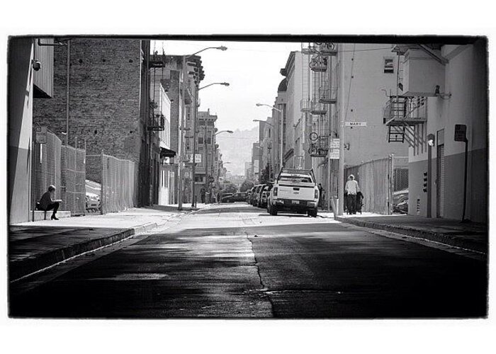 Insta_pick_bw Greeting Card featuring the photograph Alley Cats by David Root