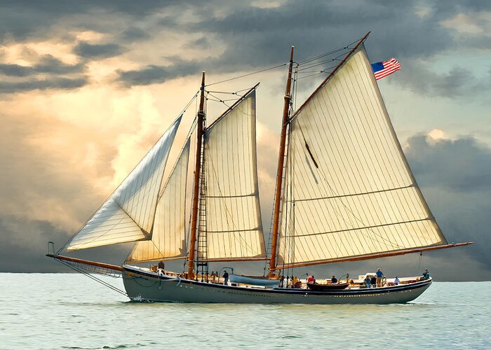Windjammer Greeting Card featuring the photograph American Eagle by Fred LeBlanc