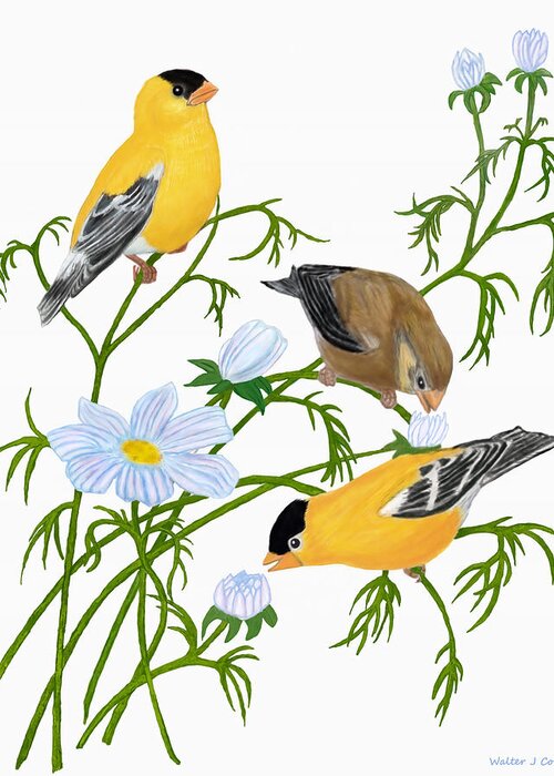 Goldfinch Greeting Card featuring the digital art American Goldfinch by Walter Colvin
