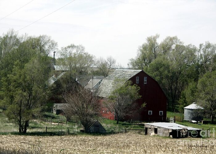 Farmland Greeting Card featuring the photograph An old Barn with surrounding spring green. by Yumi Johnson