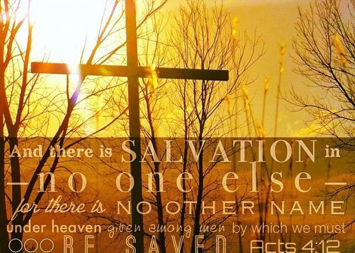 Godisgood Greeting Card featuring the photograph and There Is Salvation In No One by Traci Beeson