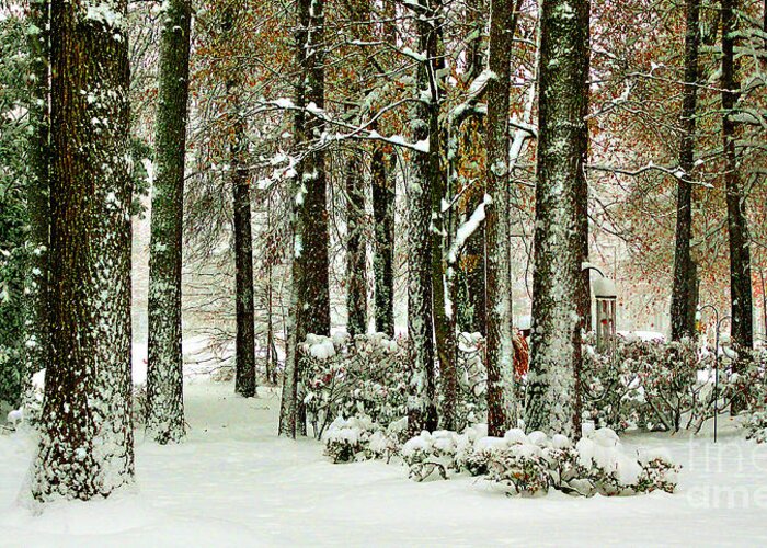Snow Greeting Card featuring the photograph Another Snowy Day by Ola Allen