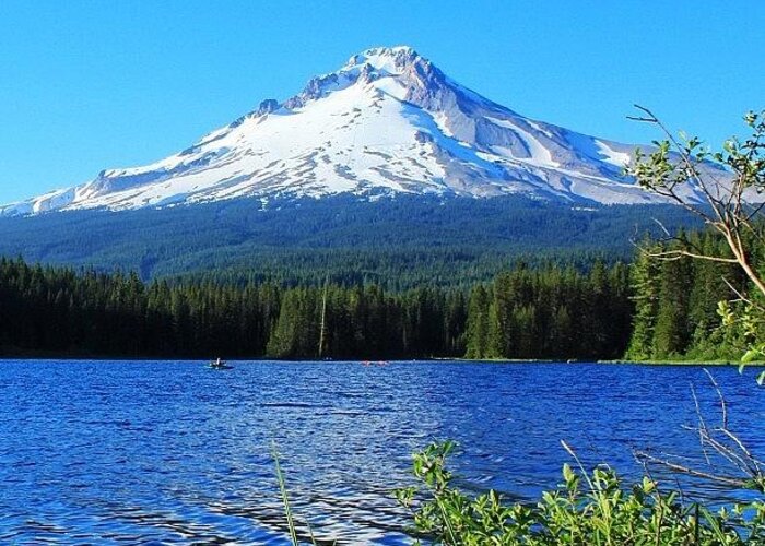 Sspics Greeting Card featuring the photograph Another Version Of Mt. Hood In Oregon by Sandra Mortola