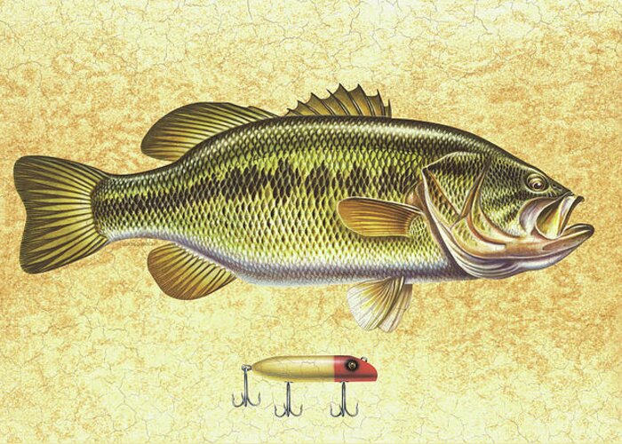 Bass Greeting Card featuring the painting Antique Lure and Bass by JQ Licensing