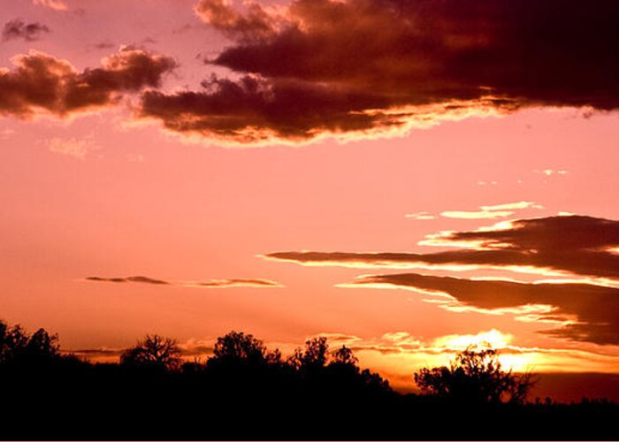 Sunset Greeting Card featuring the photograph Arizona Sunset by Mickey Clausen