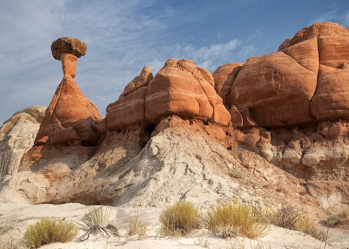 Desert Greeting Card featuring the photograph Arizona Toadstool Hoodoos by Mike Irwin