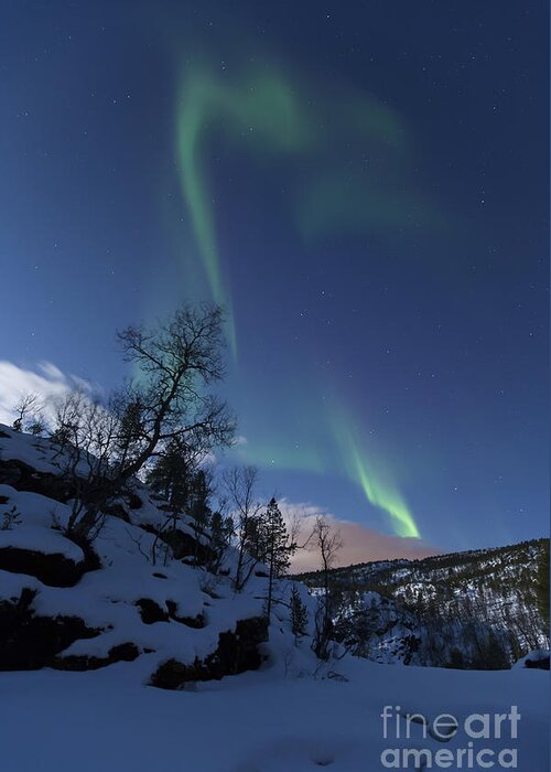 Green Greeting Card featuring the photograph Aurora Borealis Over Troms, Norway by Arild Heitmann