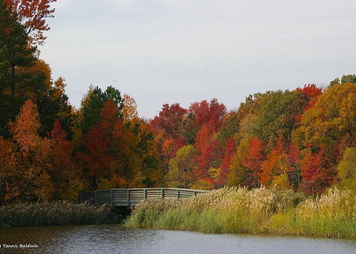 Landscape Greeting Card featuring the photograph Autumn bridge by Tannis Baldwin