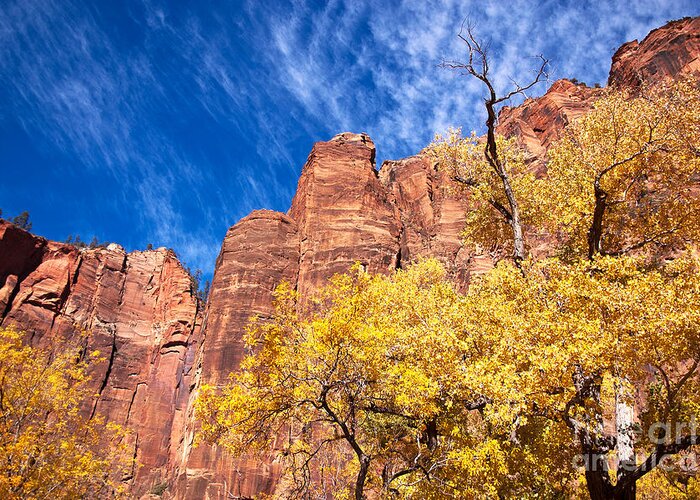 Autumn Greeting Card featuring the photograph Autumn in Zion by Bob and Nancy Kendrick