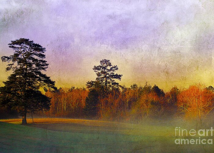 Mist Greeting Card featuring the photograph Autumn Morning Mist by Judi Bagwell