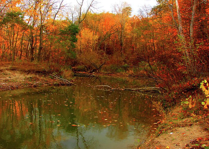 Autumn Greeting Card featuring the mixed media Autumn on Highland Creek by Bruce Ritchie