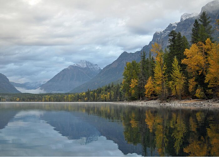 Glacier Greeting Card featuring the photograph Autumn Reflections Glacier National Park by Bruce Gourley