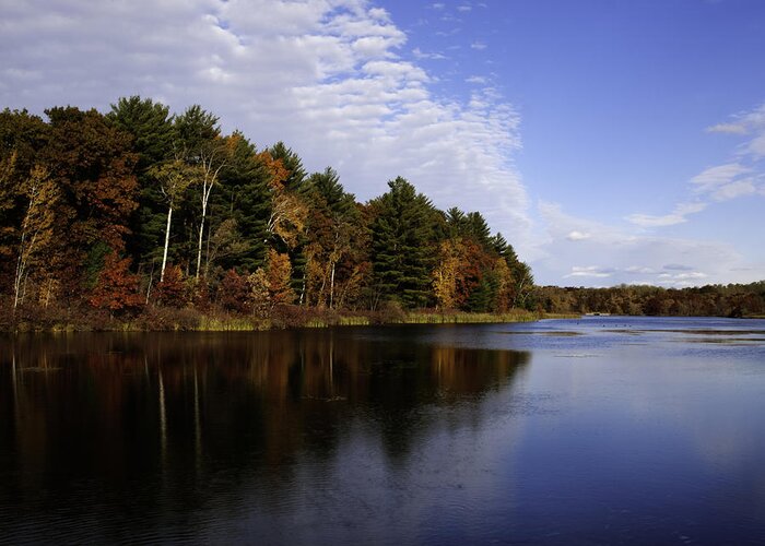 Autumn Greeting Card featuring the photograph Autumn Splendor by Thomas Young