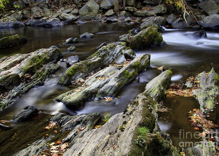 Smoky Mountains Greeting Card featuring the photograph Autumn Stream 2 by Dennis Hedberg