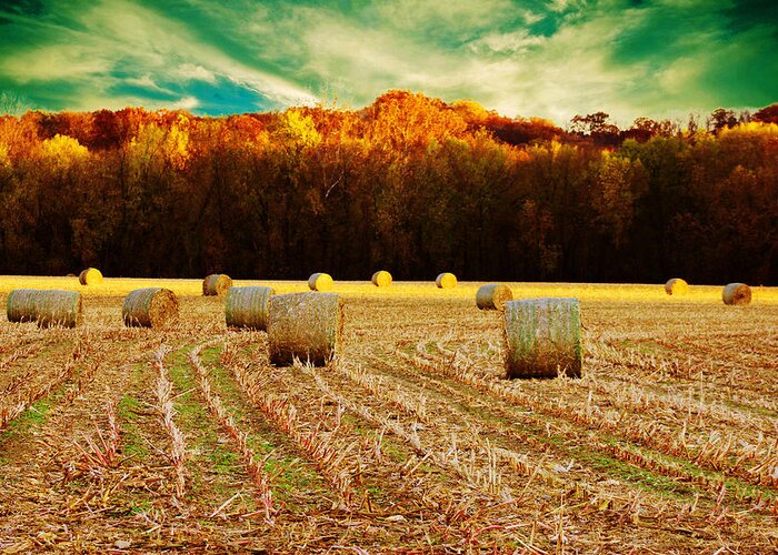 Hay Greeting Card featuring the photograph Bales of Autumn by Bill and Linda Tiepelman