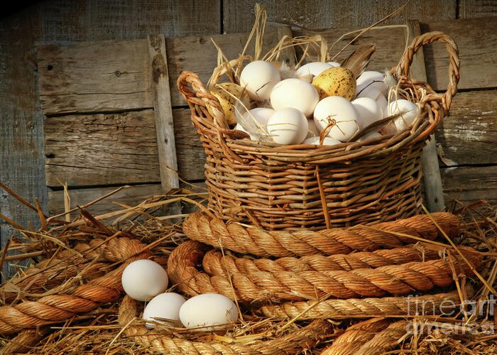 Agriculture Greeting Card featuring the photograph Basket of eggs on straw by Sandra Cunningham