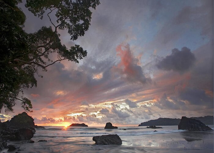 00176969 Greeting Card featuring the photograph Beach And Coastline Manuel Antonio by Tim Fitzharris