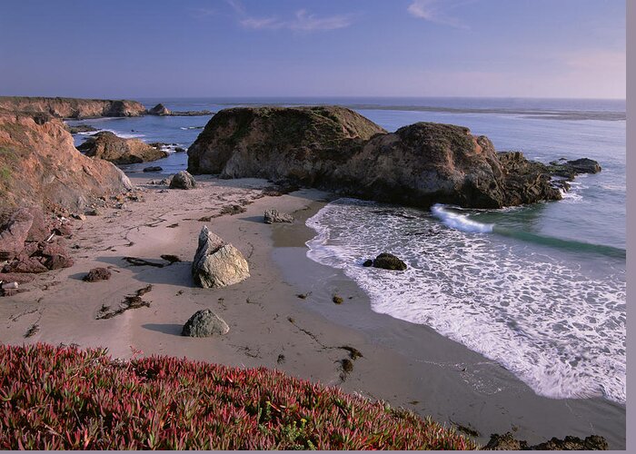 00174586 Greeting Card featuring the photograph Beach Near San Simeon Creek With Ice by Tim Fitzharris