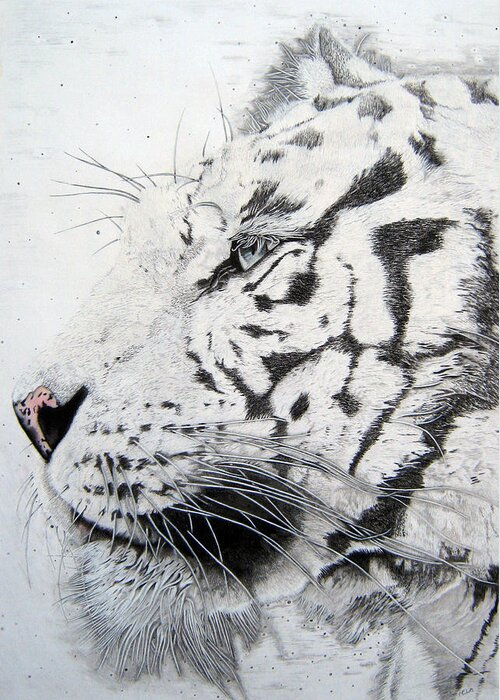  Tigers Paintings Greeting Card featuring the drawing Bengala by Mayhem Mediums