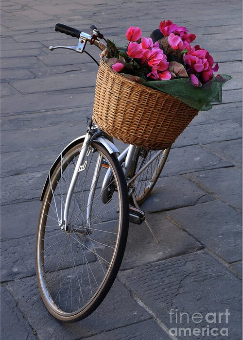 Bike Greeting Card featuring the photograph Bicycle In Lucca Italy by Bob Christopher