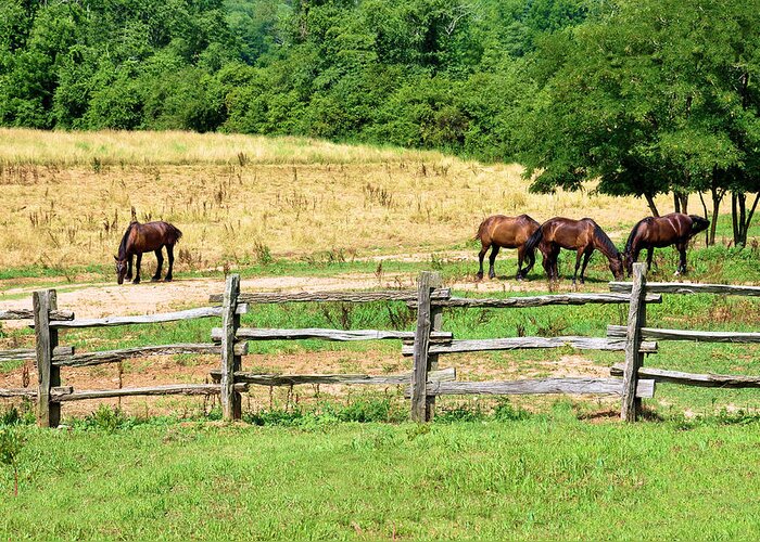 Animals Greeting Card featuring the photograph Big Boys At Pasture by Jan Amiss Photography