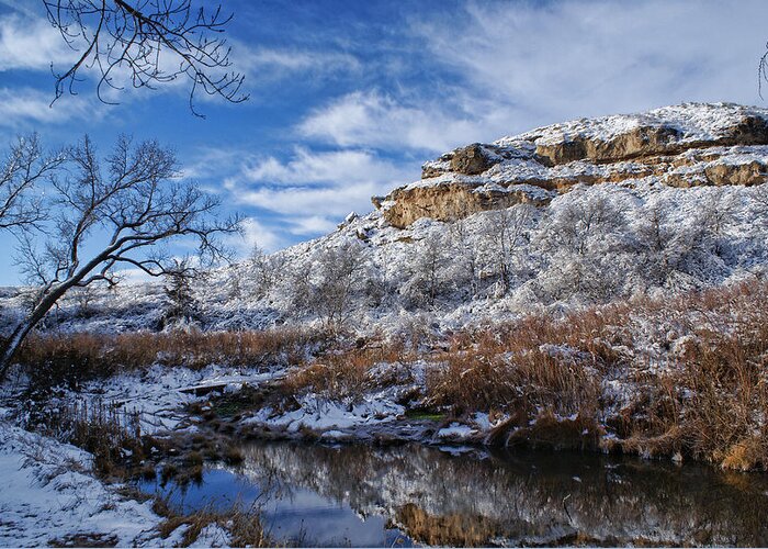 Winter Greeting Card featuring the photograph Big Springs by Alan Hutchins