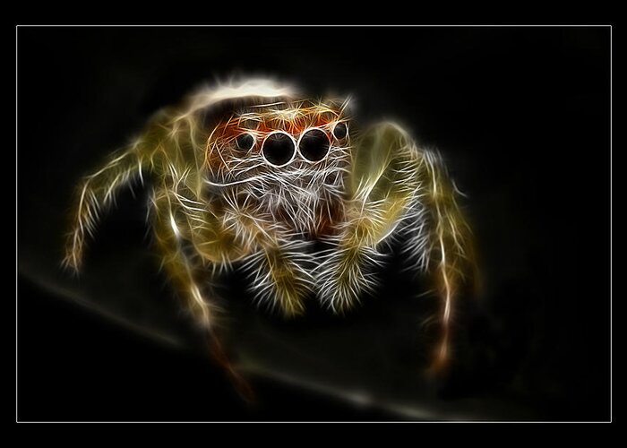  Spiders Greeting Card featuring the digital art Bite me by Kevin Chippindall