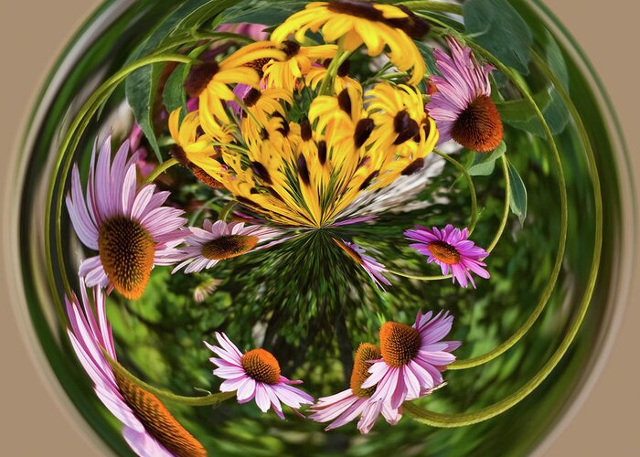 Cone Flower Greeting Card featuring the photograph Black Eyed Susans and Cone Flowers by Steve Stuller
