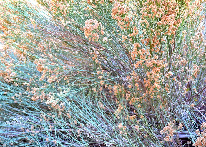 Wild Weeds Greeting Card featuring the photograph Blowing In The Wind by Diane montana Jansson