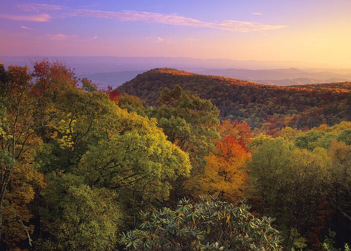 00175692 Greeting Card featuring the photograph Blue Ridge Mountains With Deciduous by Tim Fitzharris