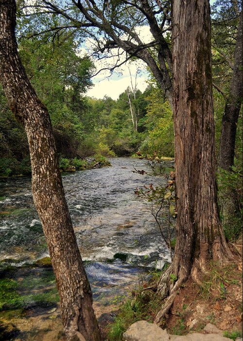 Stream Greeting Card featuring the photograph Blue Spring Branch by Marty Koch