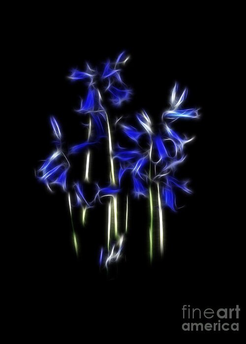 Bluebell Greeting Card featuring the photograph Bluebell fractal by Steev Stamford