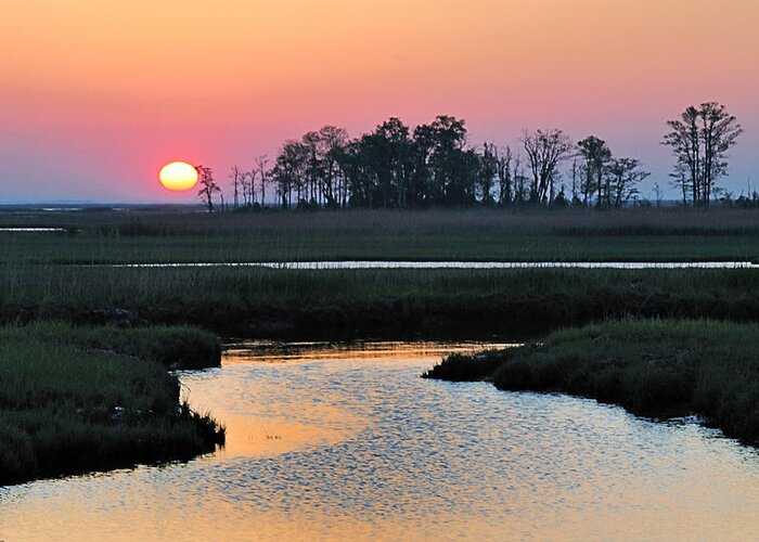 Sunrise Greeting Card featuring the photograph Bombay Hook Sunrise by Craig Leaper