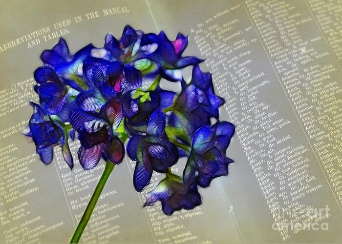 Flower Greeting Card featuring the photograph Botany Book by Judi Bagwell